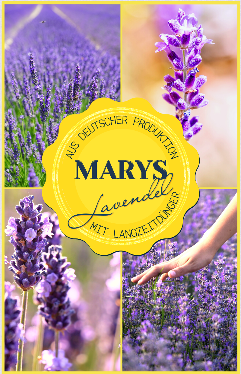 Marys Lavendel